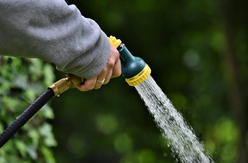 Watering needs