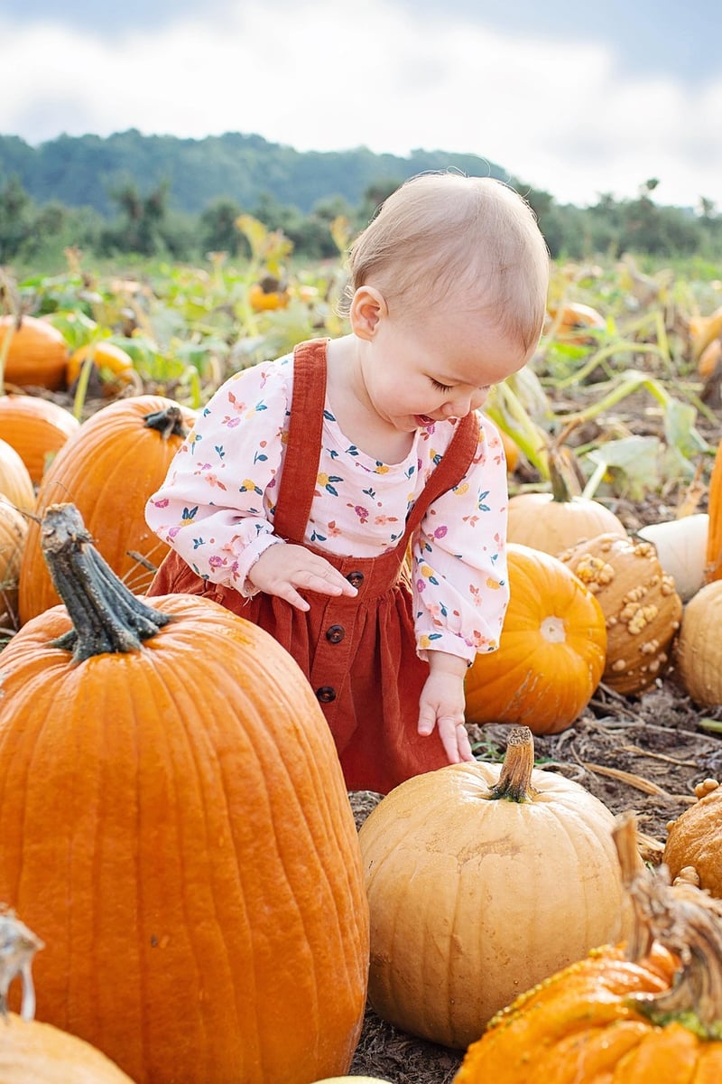 Autumn Harvest